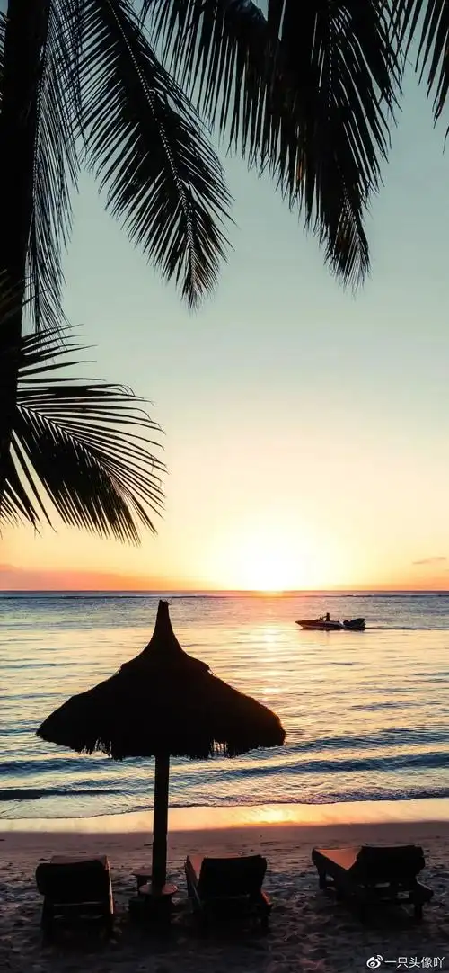 抖音快手热门高清全屏手机壁纸