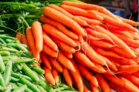 新鲜蔬菜胡萝卜图片