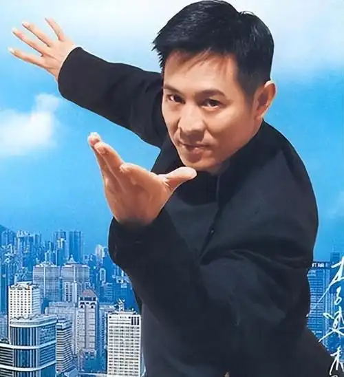 在那个年代,武打片还是非常吃香的,李连杰,成龙,李小龙等都是靠武打