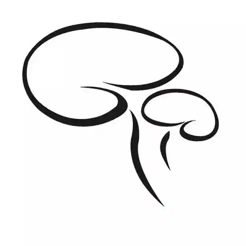 「 专注灵芝应用 」   认可价值,动手转发,每晚10点更新