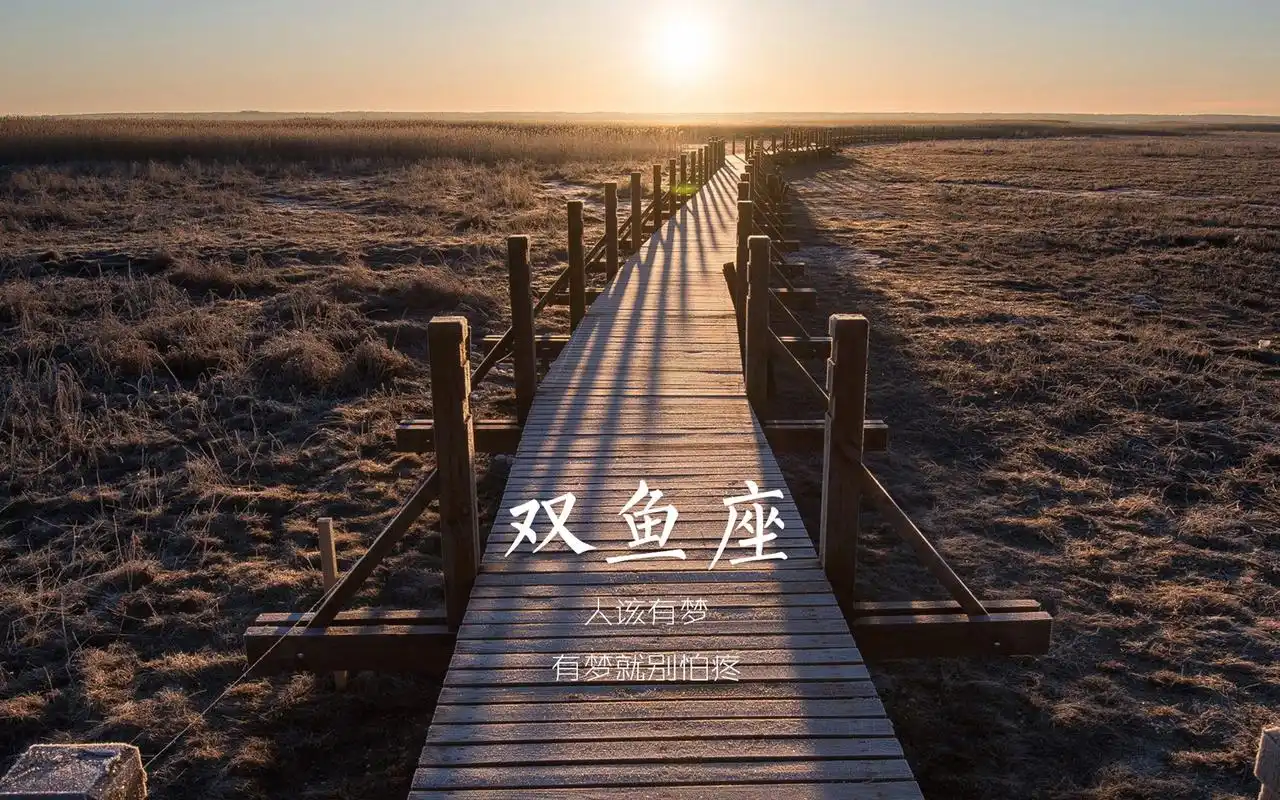 双鱼座桌面壁纸第9张