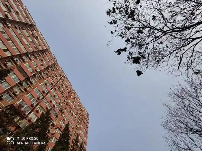 首发小米10pro评测1亿像素拍照纤毫毕现完全没有短板的旗舰机