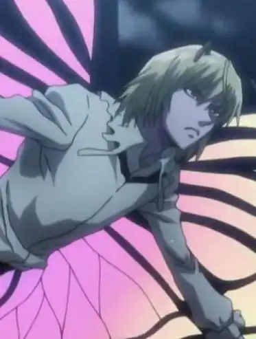 《全职猎人 hunter×hunter》人物大全(46个结果) - 白鸟acg