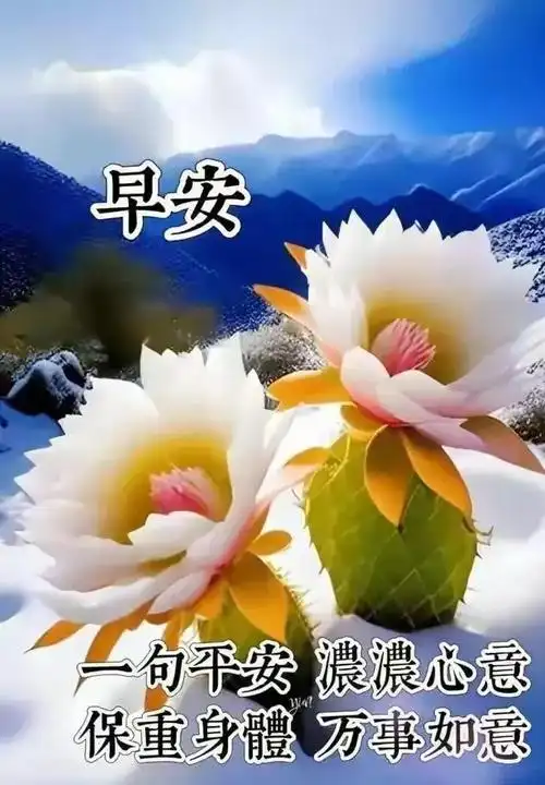 11月20日朋友早上好最新精选早安图片漂亮祝福语早安吉祥安康