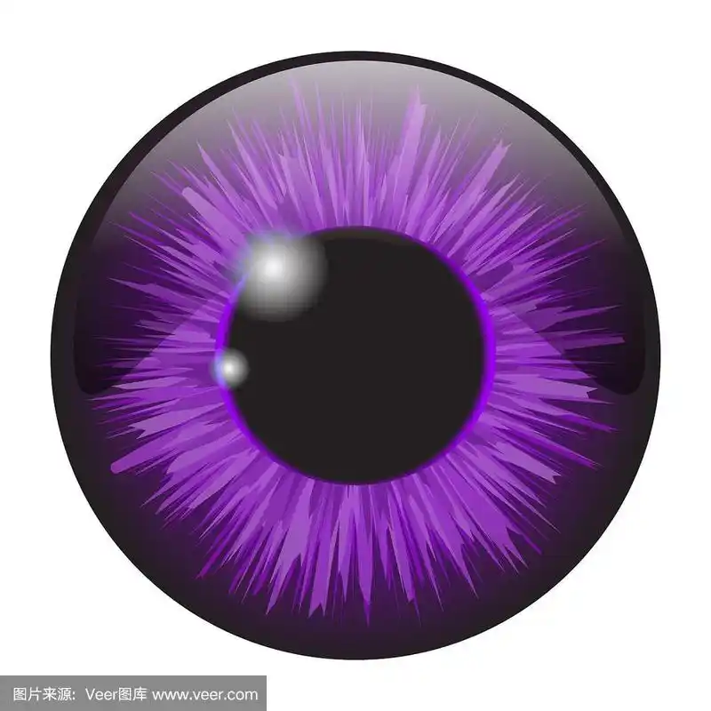 紫色虹膜眼睛现实向量集设计孤立在白色