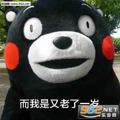 2020又老了一岁图片表情包-2020年又老了一岁图片下载-乐游网游戏下载