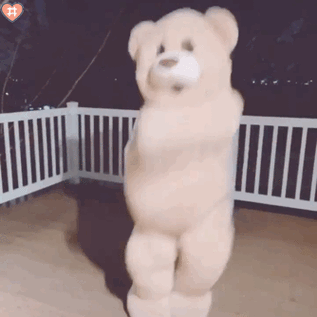 跳舞小熊表情包动图71