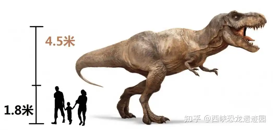 恐龙科普寻找霸王龙