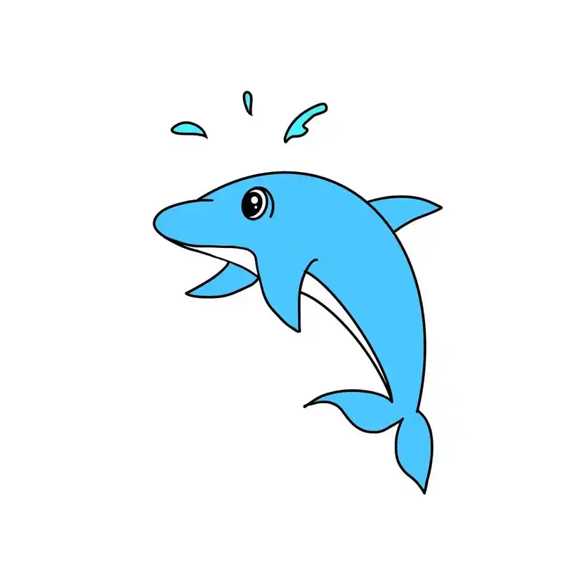 海豚简笔画.海豚分布于太平洋,大西洋和印度洋. 在热带和温带 - 抖音