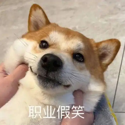 可爱实用表情包:过来给我亲一下_公众_il_熊猫头