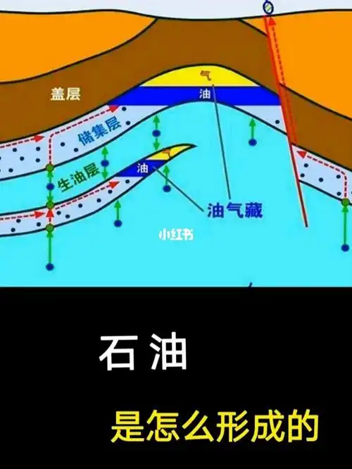 石油是怎么形成的