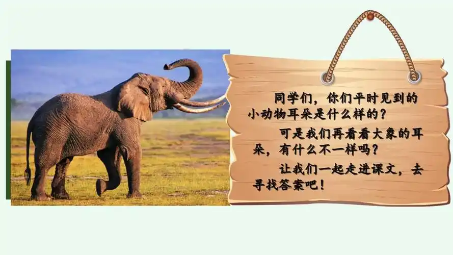 二年级下册语文课件-19 大象的耳朵 (共74张ppt)部编版.pptx 74页