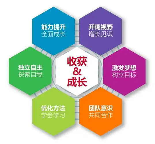 以孩子们喜欢的游和玩 精英教育课程 清北学霸讲谈 指导回课多种形式