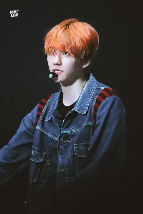 边伯贤的专属图楼(持更06)