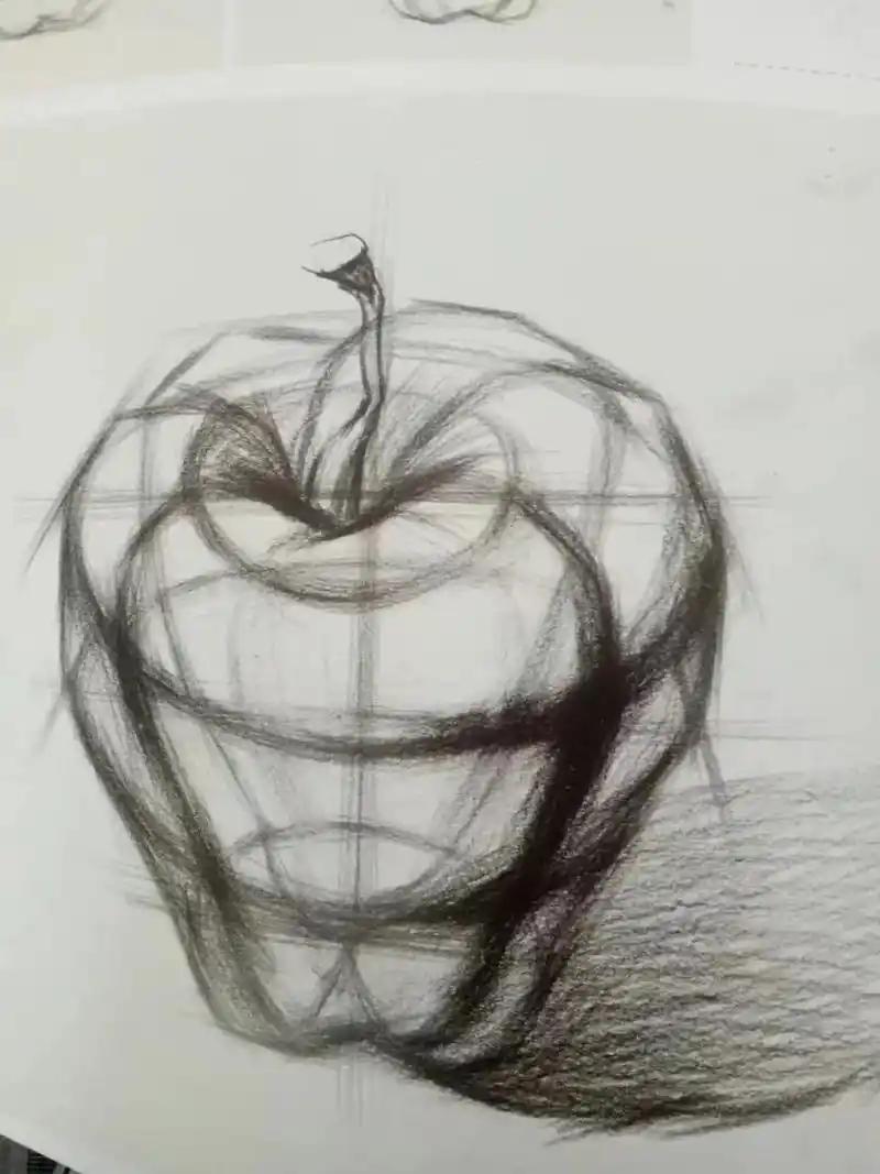 素描静物基础水果苹果和梨子