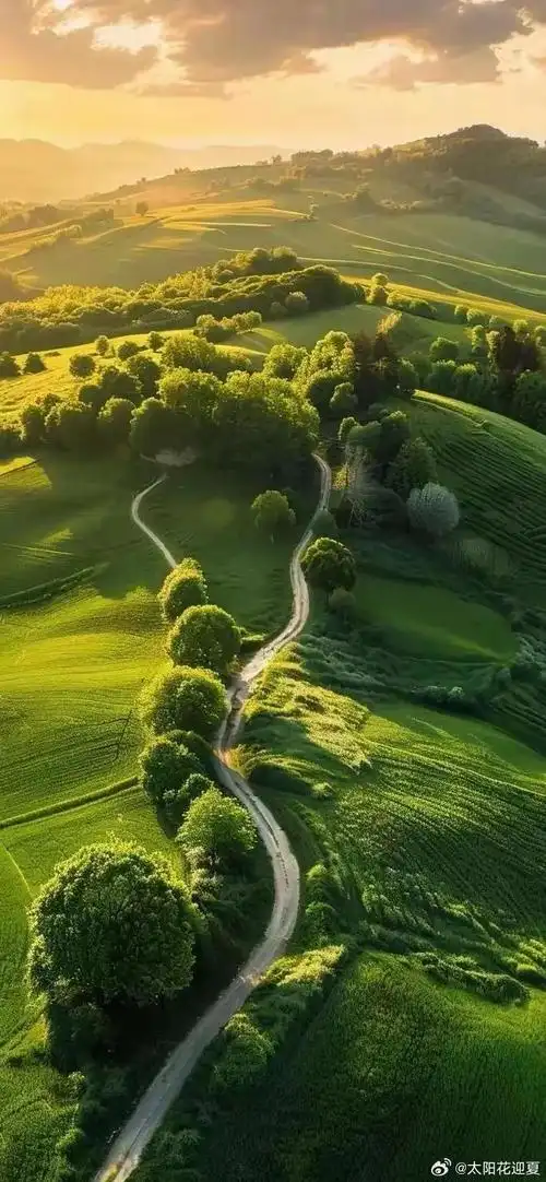 寻美中国##寻美河南#漫步在绿色的海洋中,感受大自然的和煦与温暖