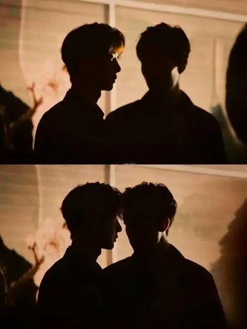 博肖绝美剪影集