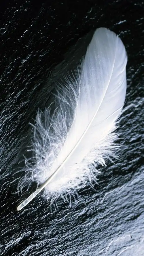 炫彩羽毛超无水印手机壁纸 第一辑