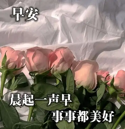 早上好问候语表情图片大全 早上好祝福语短句子
