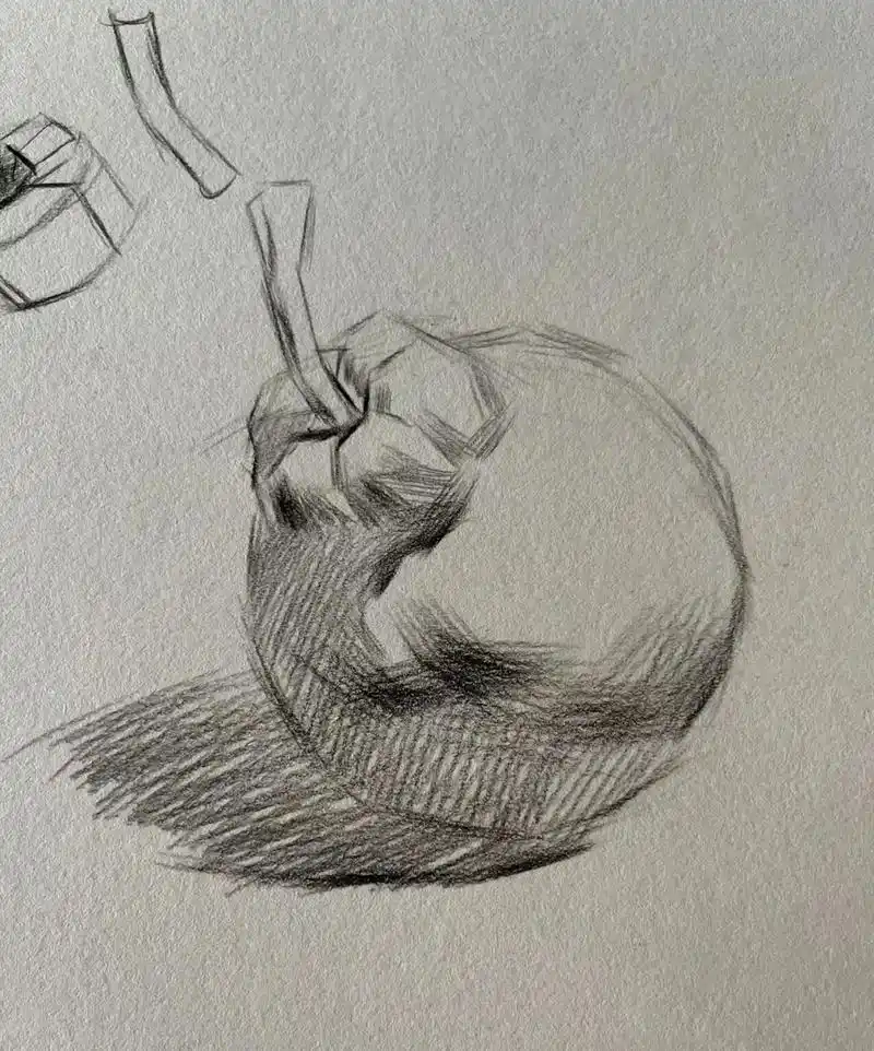 素描静物梨起形到完整步骤 素描静物梨起形到完整步骤