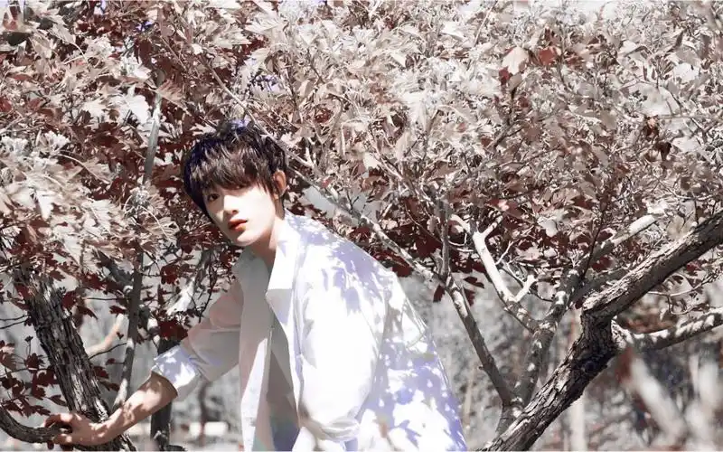 【丁程鑫】有你在的地方世界都亮了