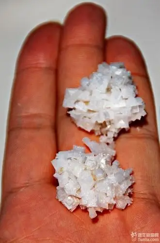 每个晶体盐都有这么大个,盐场商店还会出售像冰糖那样大的岩盐,真是大