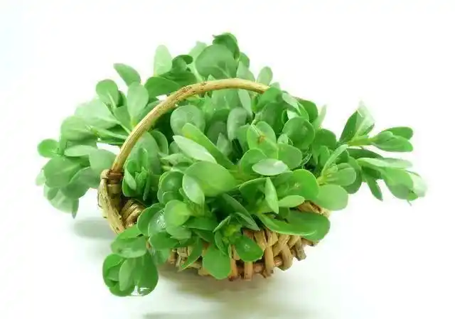 吃长寿菜,血糖一天比一天降低,糖尿病永远不感靠近你!