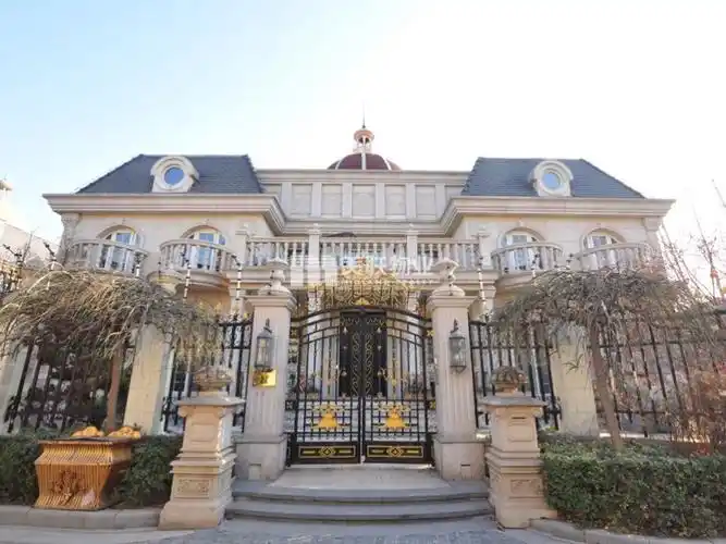 萃取法国巴黎卢浮宫精华而成的尊贵欧式城堡财富公馆简介: 财富公馆