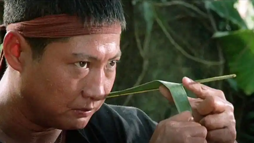 《东方秃鹰》片段 洪金宝 元彪 谁的腿上功夫最厉害