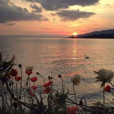 有气质有意境的风景头像(40张)