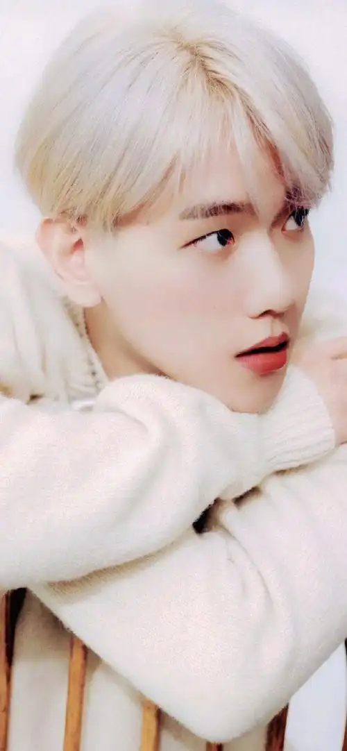 边伯贤爱你如一