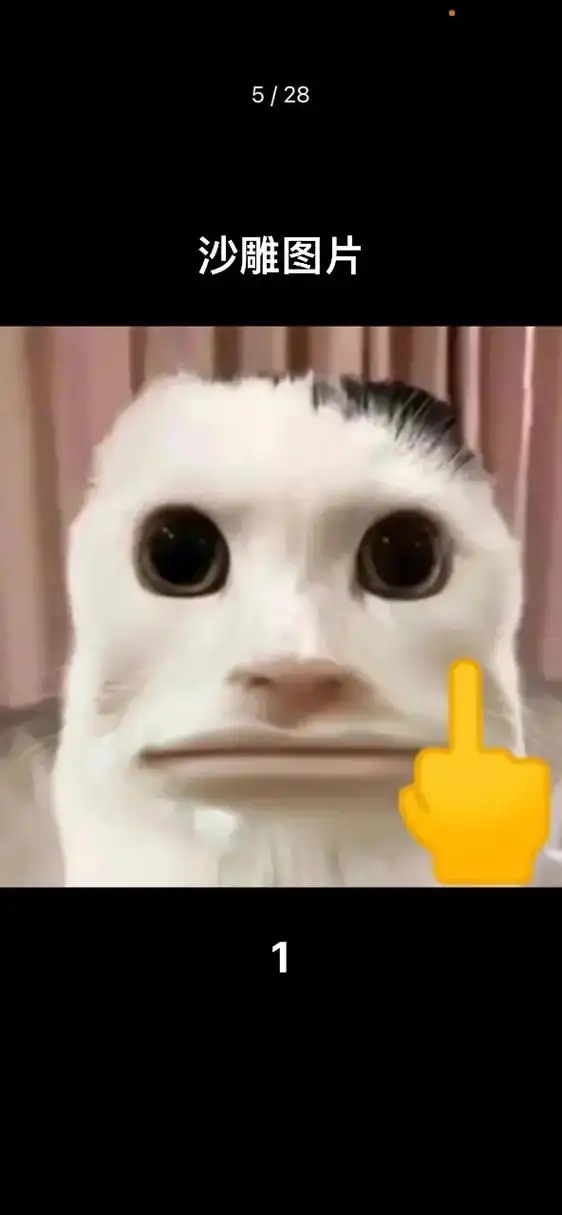 28/28 沙雕图片 1 3 2 5 18/28 5/28  - 抖音