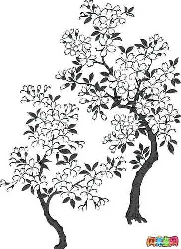 樱花树简笔画