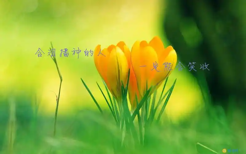 励志的文字桌面壁纸