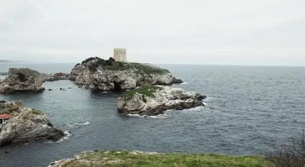 中方的巧妙回答,令日本如鲠在喉|俄日|俄罗斯|新版地图|南千岛群岛