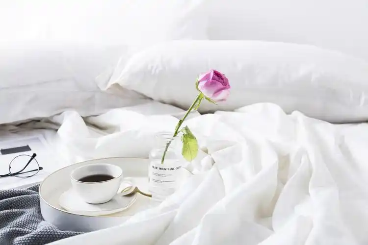 电脑壁纸高清ins风4k壁纸居家清新_4k背景图片_彼岸图网pic.netbian.c