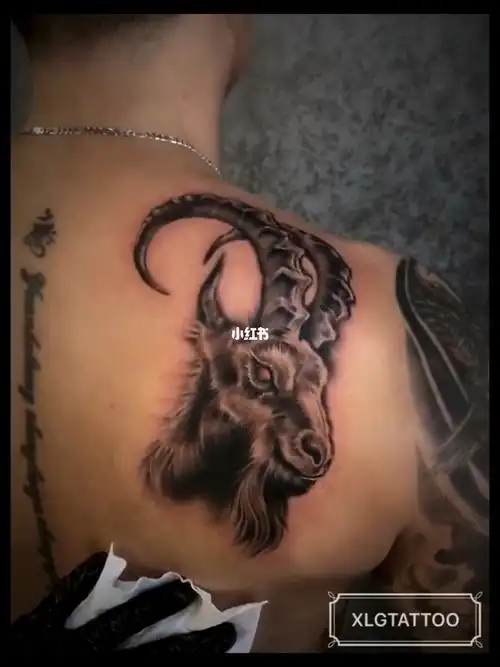 肩胛骨摩羯73_纹身_星座_摩羯座_写实纹身_美妆_彩妆_彩妆其他