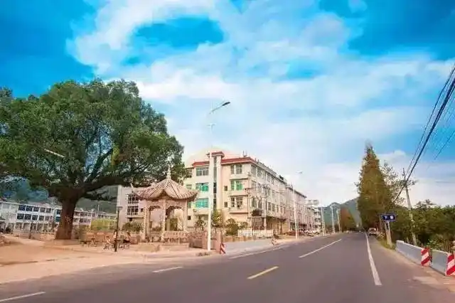 小芝镇作为临海唯一乡镇荣获"台州市美丽公路示范镇"