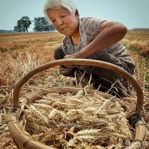 那些年,拍了几位勤勉劳作的母亲