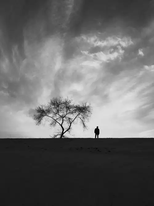 夏天繁盛了好久好久,秋天的冷意突然飘落,让人感觉到一股寂寥.