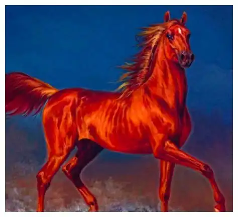 心理学哪匹马才是汗血宝马测出你天生的财商有几分