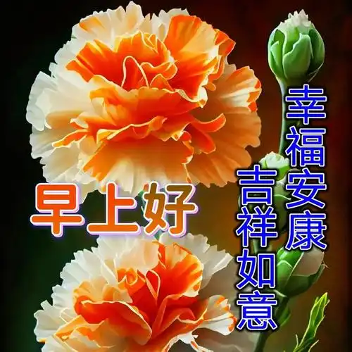 早上好祝福图片带字带问候语|快乐|甜蜜|清晨|幸福_网易订阅