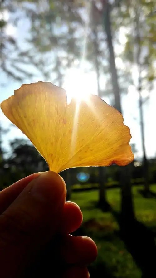 原创4月15日以后阳光冲破黑暗美好又耀眼好运降临的三大星座