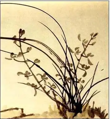 徐悲鸿  《兰花》