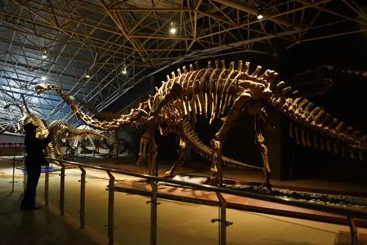 四川·成都·成都自然博物馆  成都自然博物馆,一个充满神奇与奥秘的