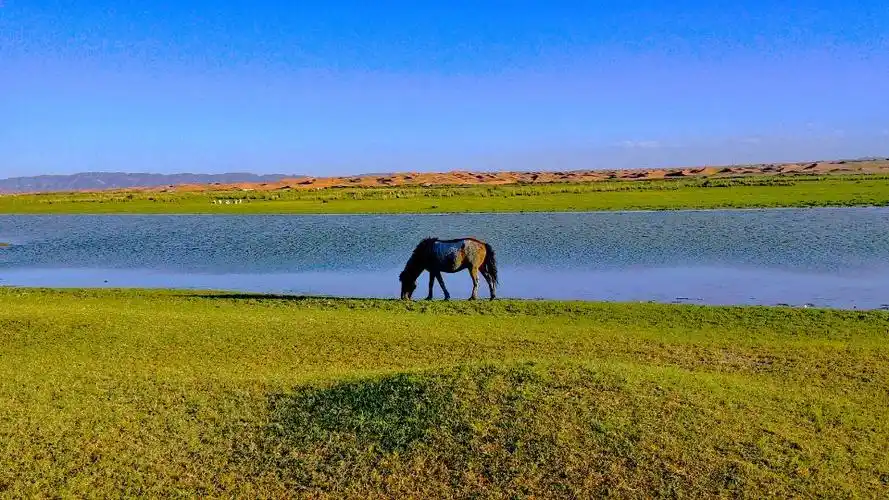 腾格里沙漠通湖草原旅游区(暂停营业)