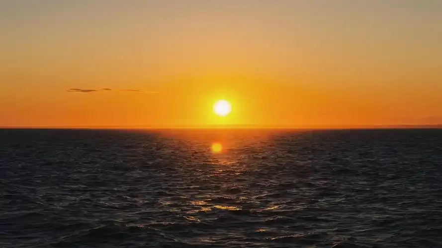 清晨太阳升起来最美的风景