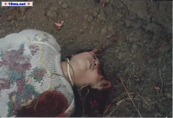 死囚枪毙全过程 死刑犯枪毙后尸体处理内幕 - 铁血战士 - 铁血战士