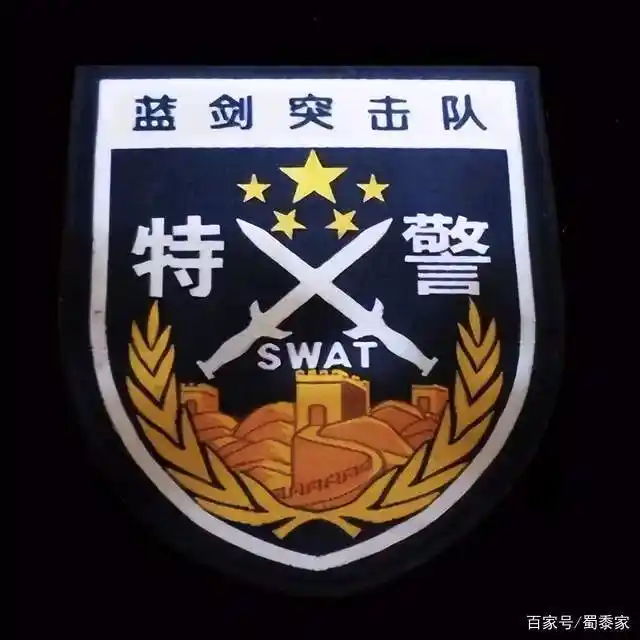 全国特警臂章大全