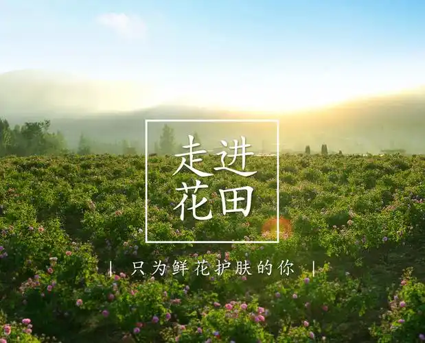 中国美妆手足膜开创品牌半亩花田成功上线oms全渠道业务中台